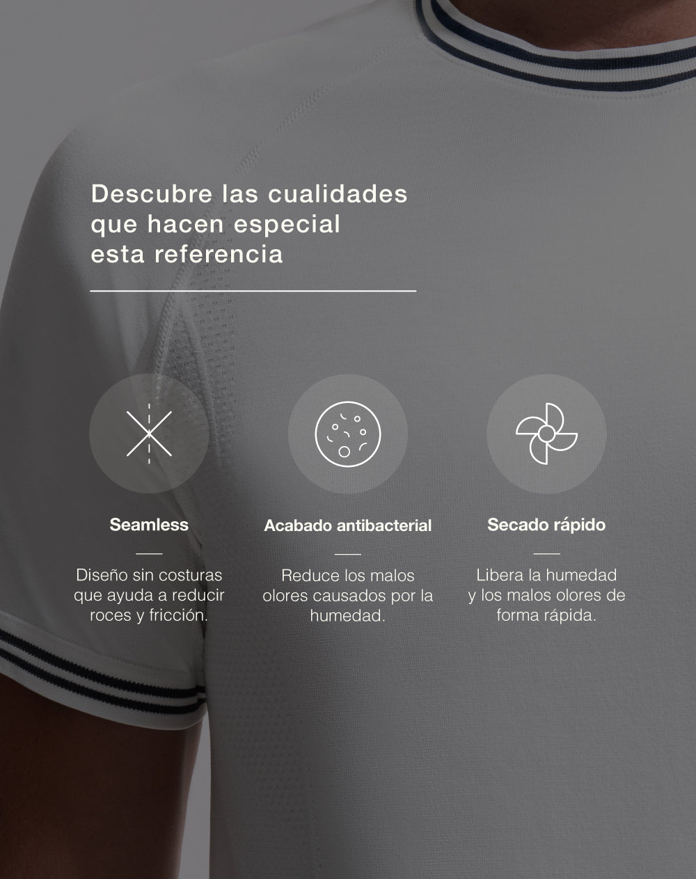 Haxe