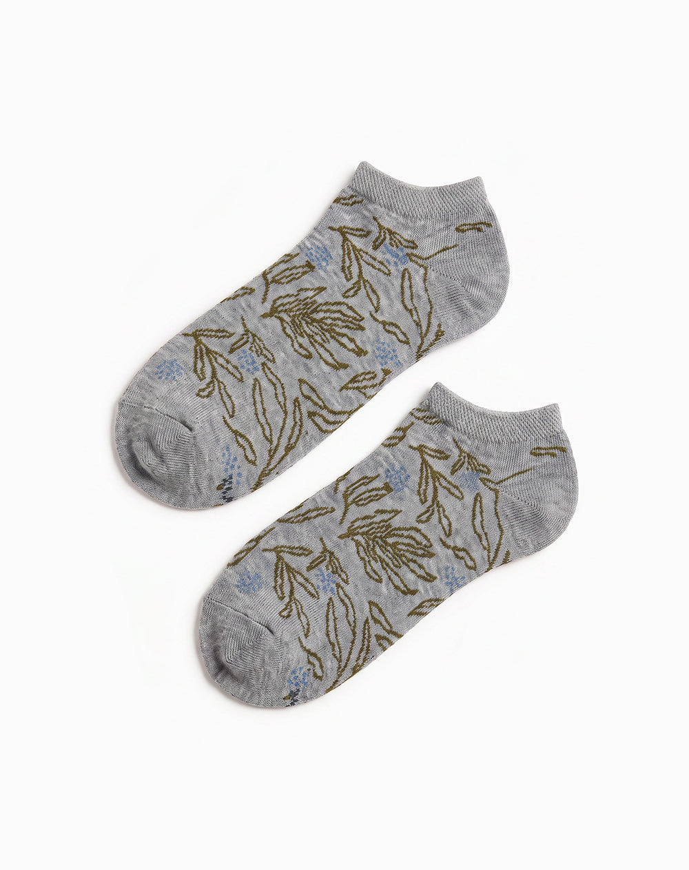 Kochia