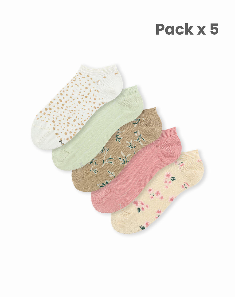 Kochia x5