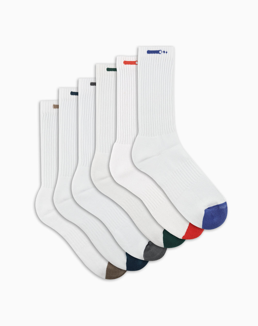 New sedicci masc x6