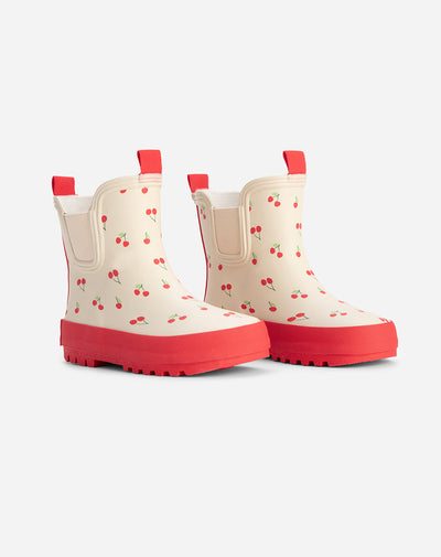 Raina botas